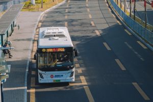 white and blue bus on road during daytime